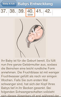 app-baby-in-sicht