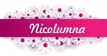 nicolumna