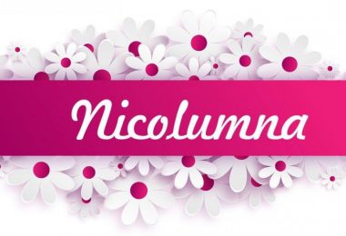 nicolumna